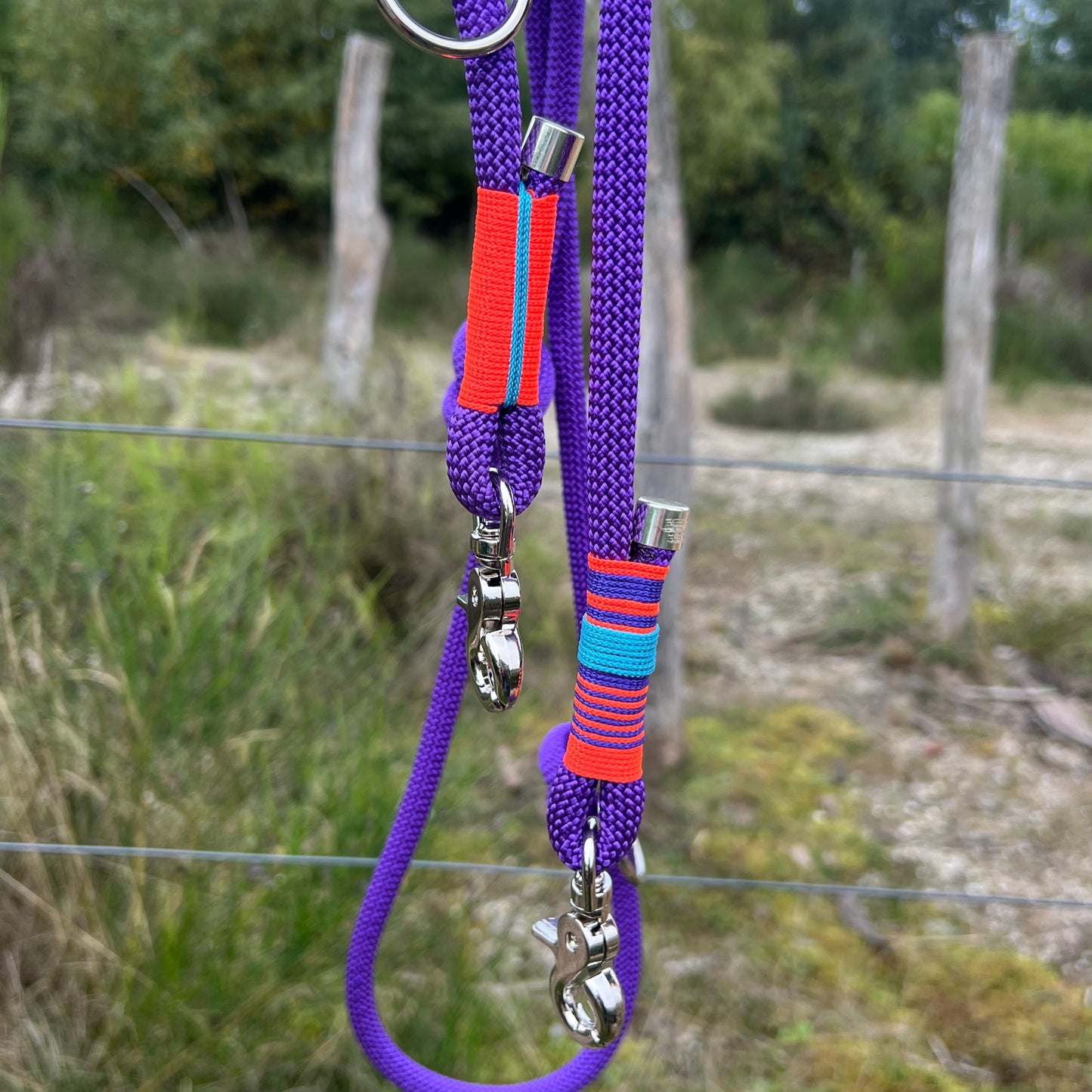 SAN FRANCISCO – Gassi, aber make it fancy