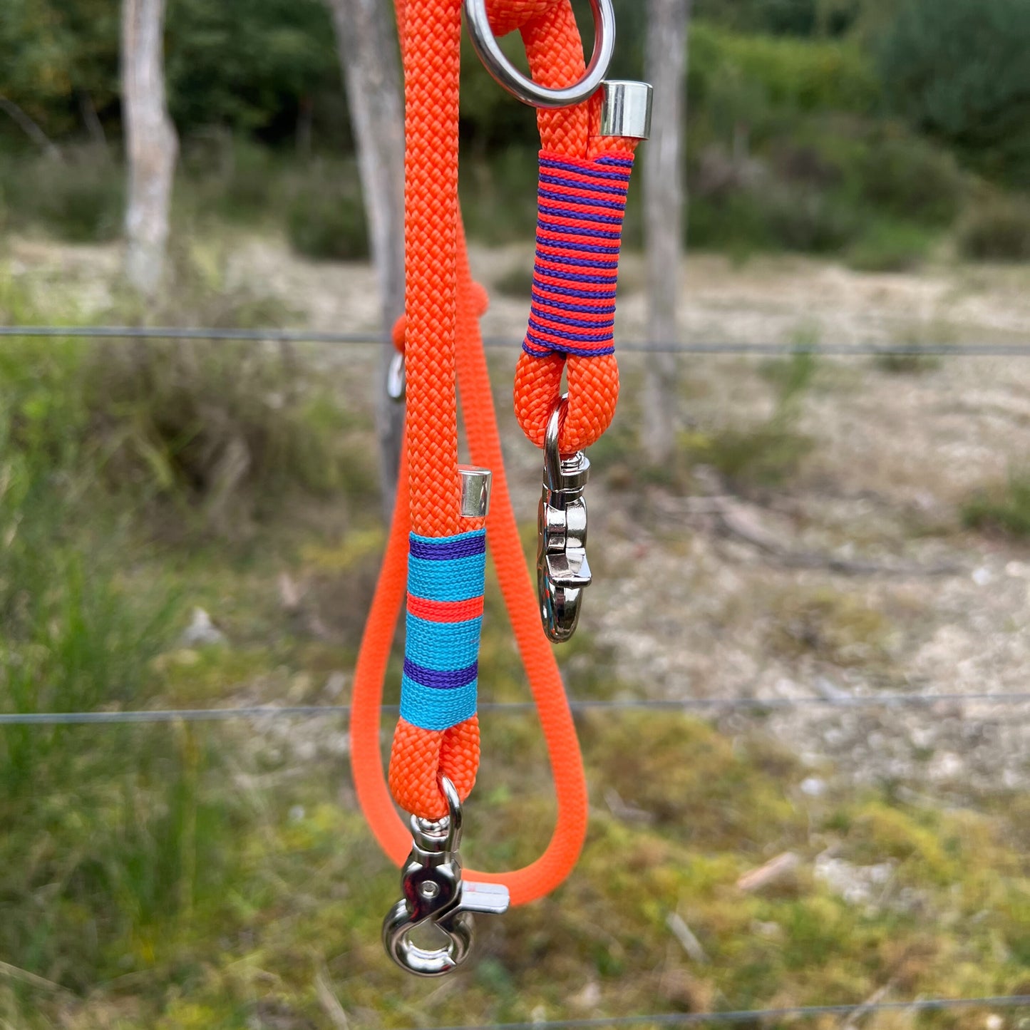 SAN FRANCISCO – Gassi, aber make it fancy