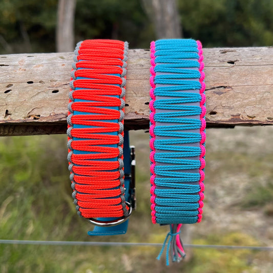 ZANDVOORT hat Bärbel am Hals