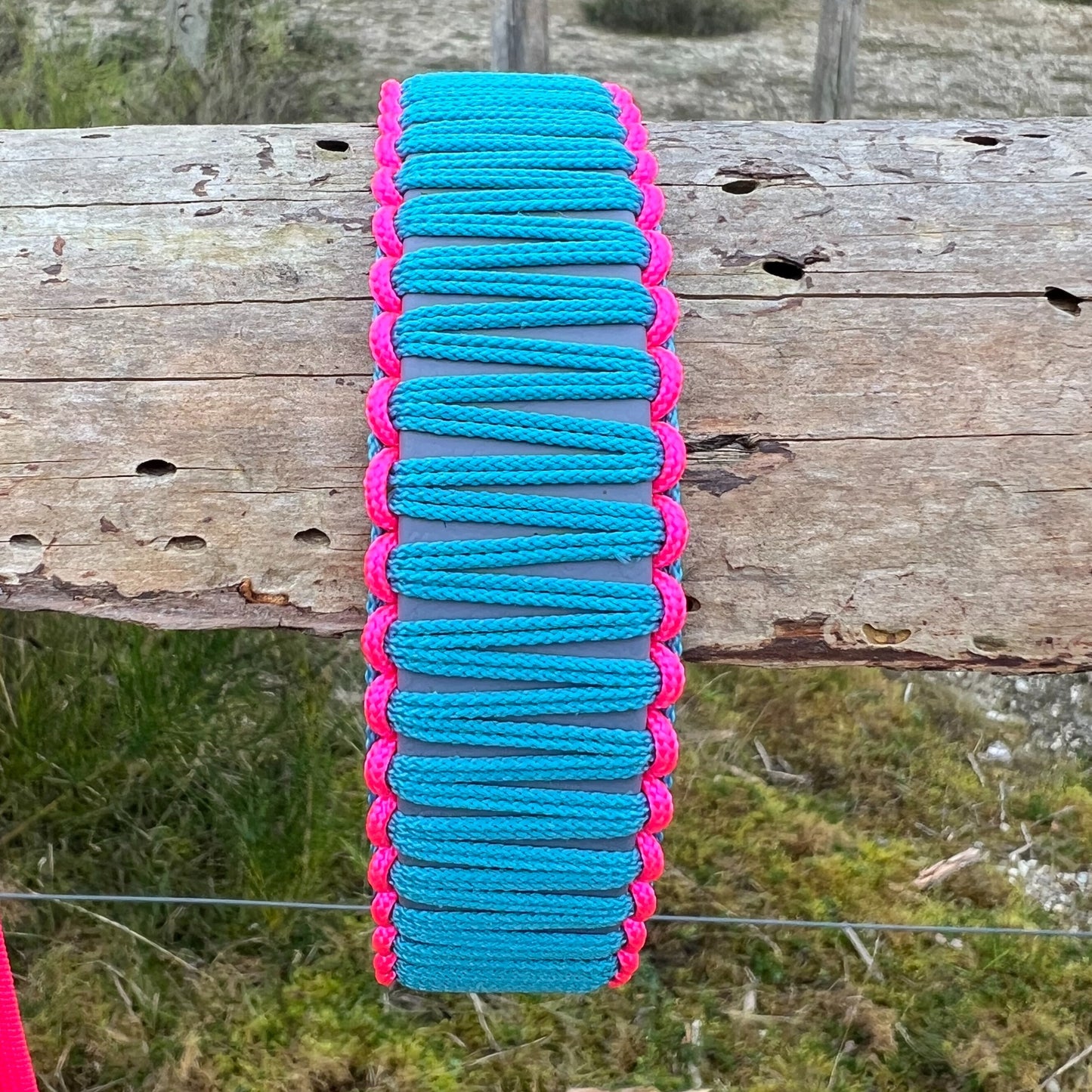 ZANDVOORT hat Bärbel am Hals