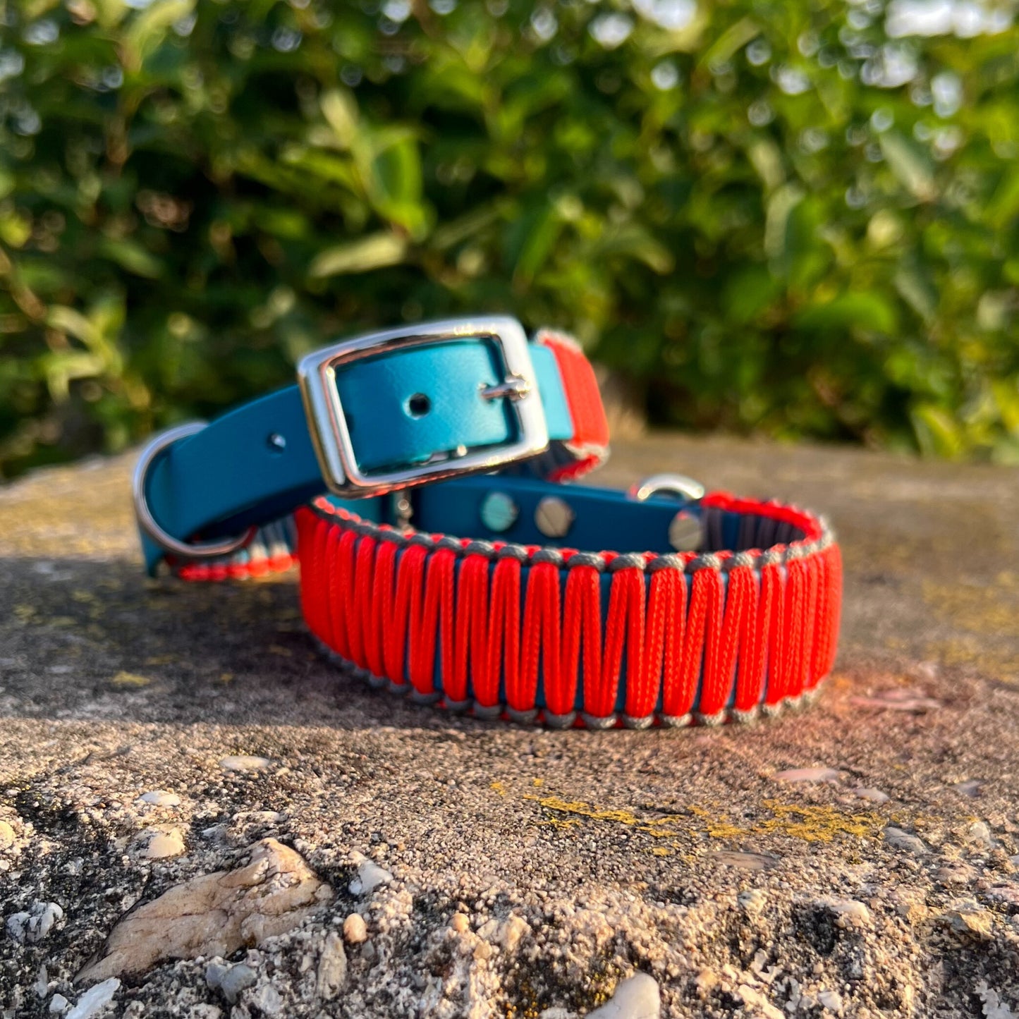 ZANDVOORT hat Bärbel am Hals