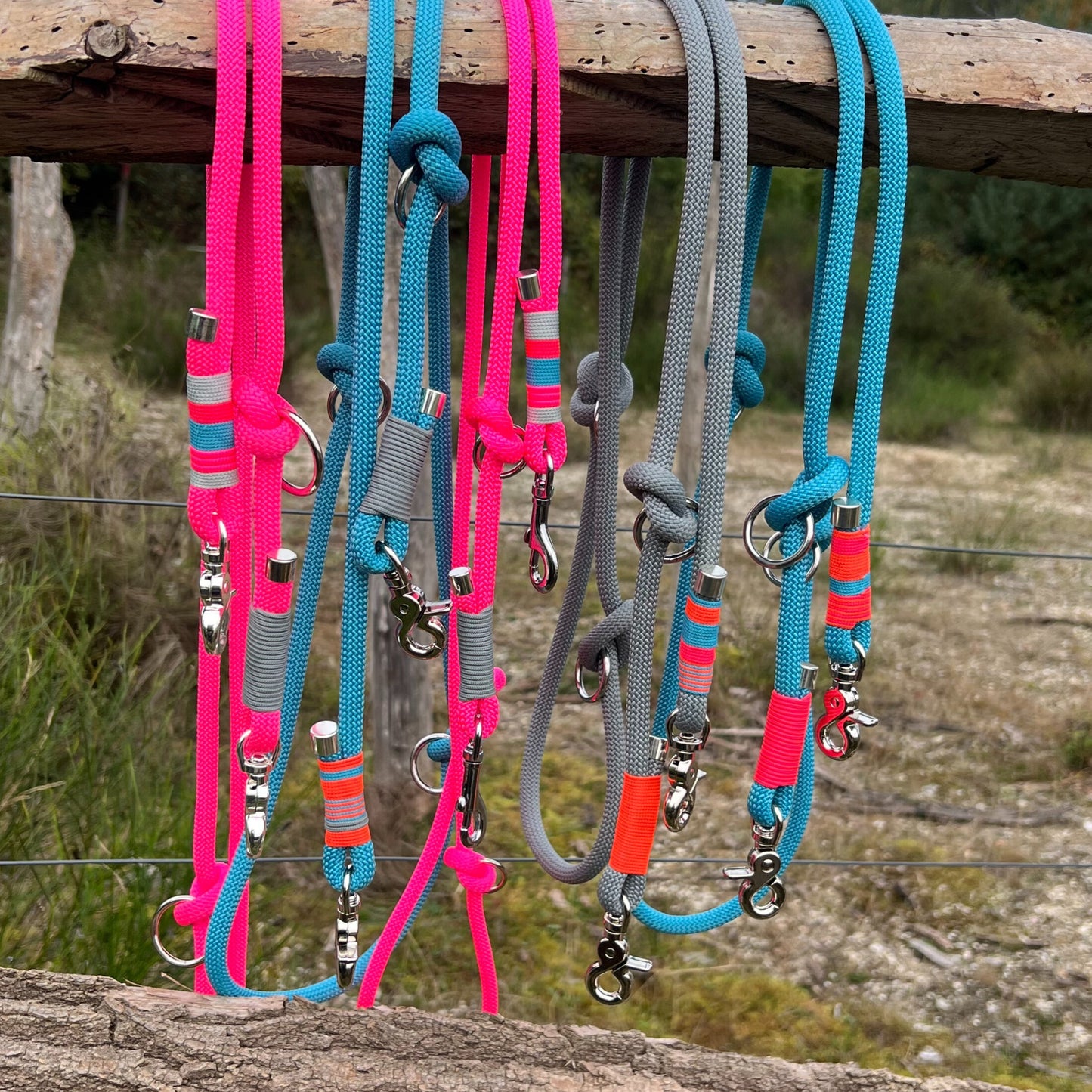 ZANDVOORT – Leine gut, alles gut