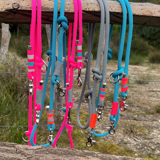 ZANDVOORT – Leine gut, alles gut