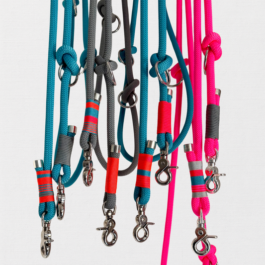 ZANDVOORT – Leine gut, alles gut