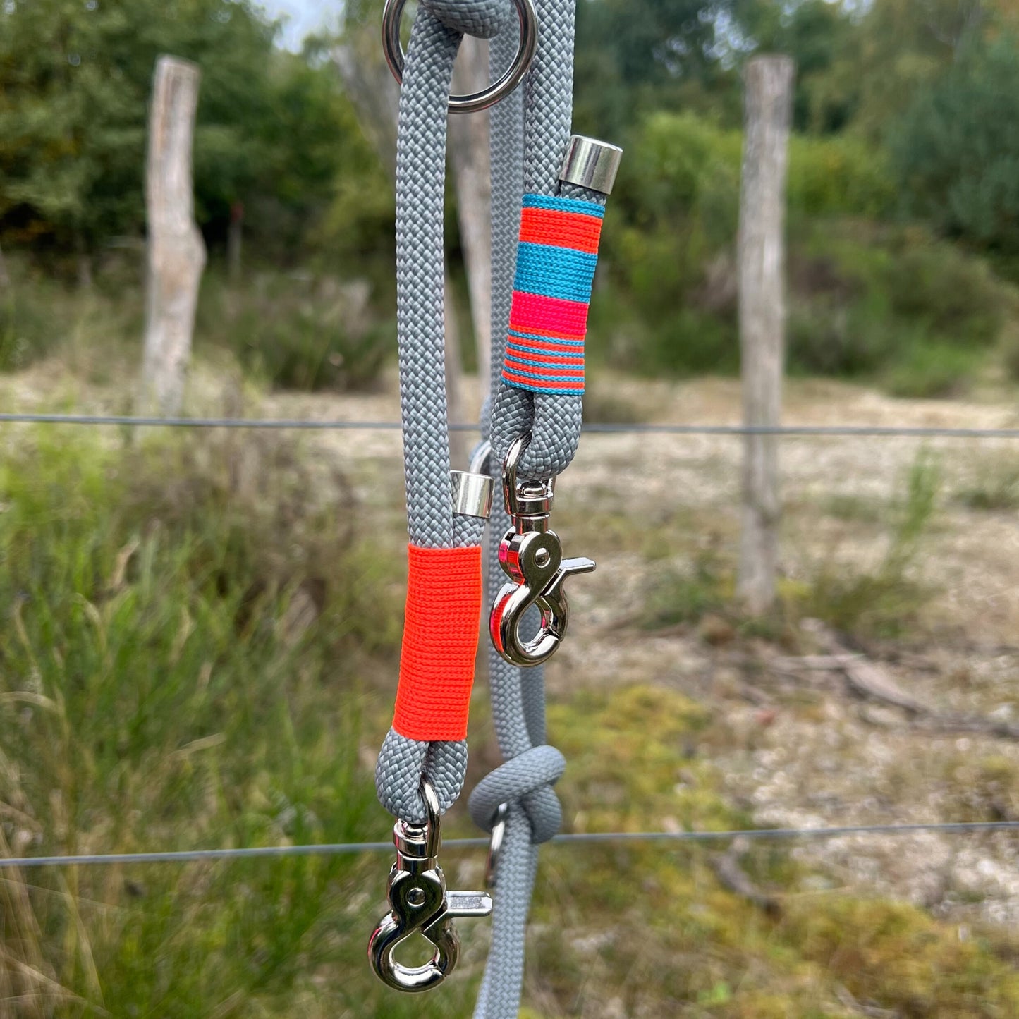 ZANDVOORT – Leine gut, alles gut