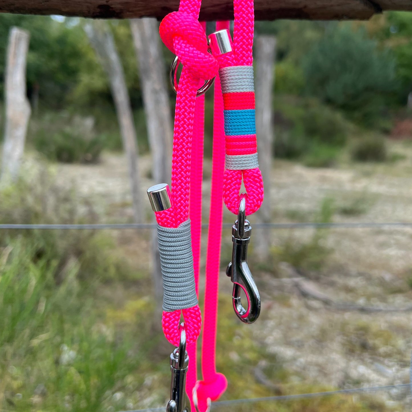 ZANDVOORT – Leine gut, alles gut