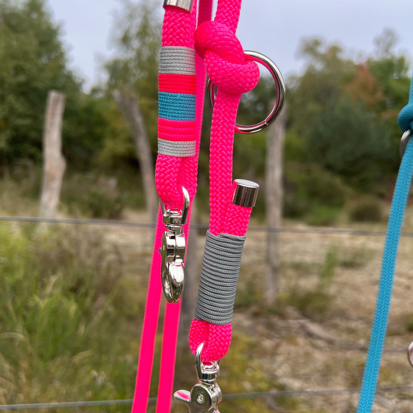 ZANDVOORT – Leine gut, alles gut