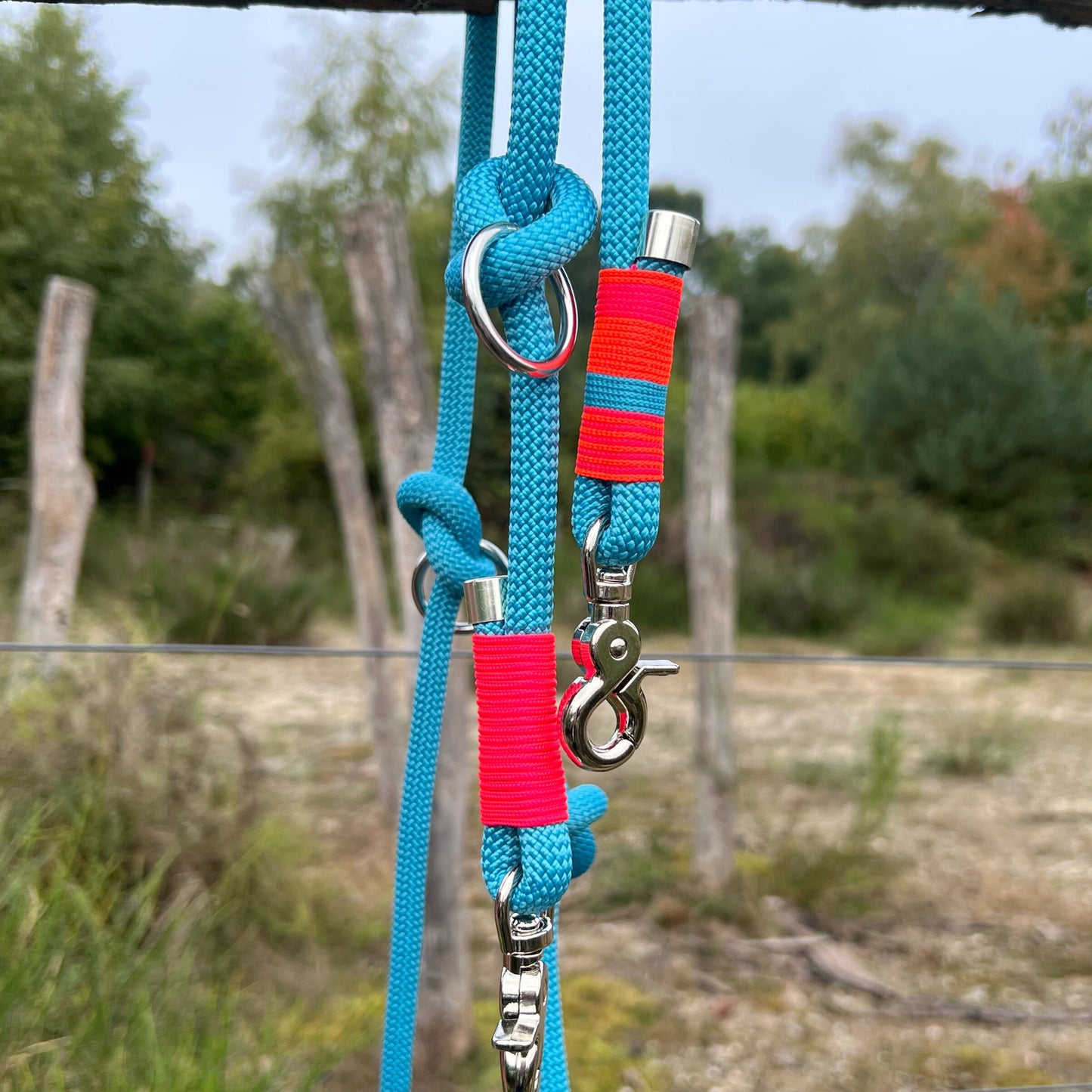 ZANDVOORT – Leine gut, alles gut