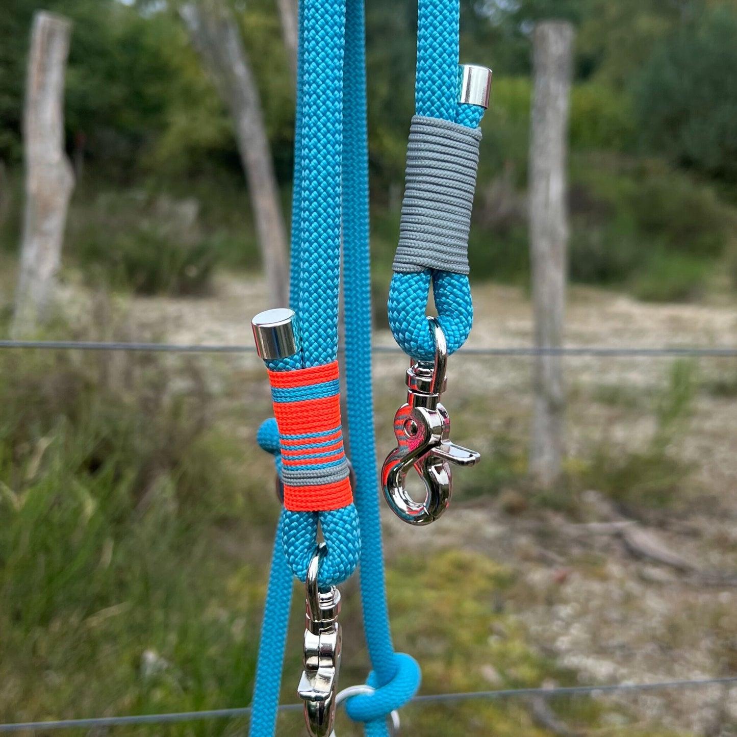 ZANDVOORT – Leine gut, alles gut